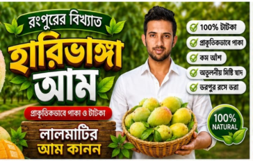 Premium Harivanga Mango